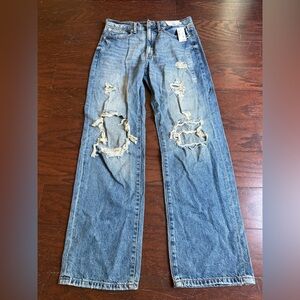 Aeropostale Low Rise Skater Jeans in Blue